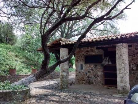 Sarita Yañez (Rancho San Miguel, cerca de Tequis)